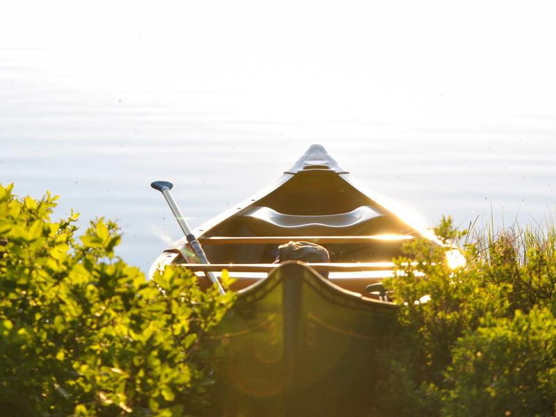 sudoku statistics screenshot 6