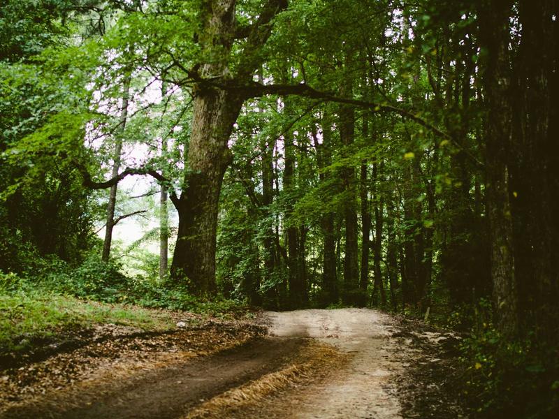 sudoku custom puzzle